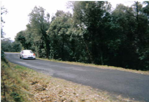 n95genesca